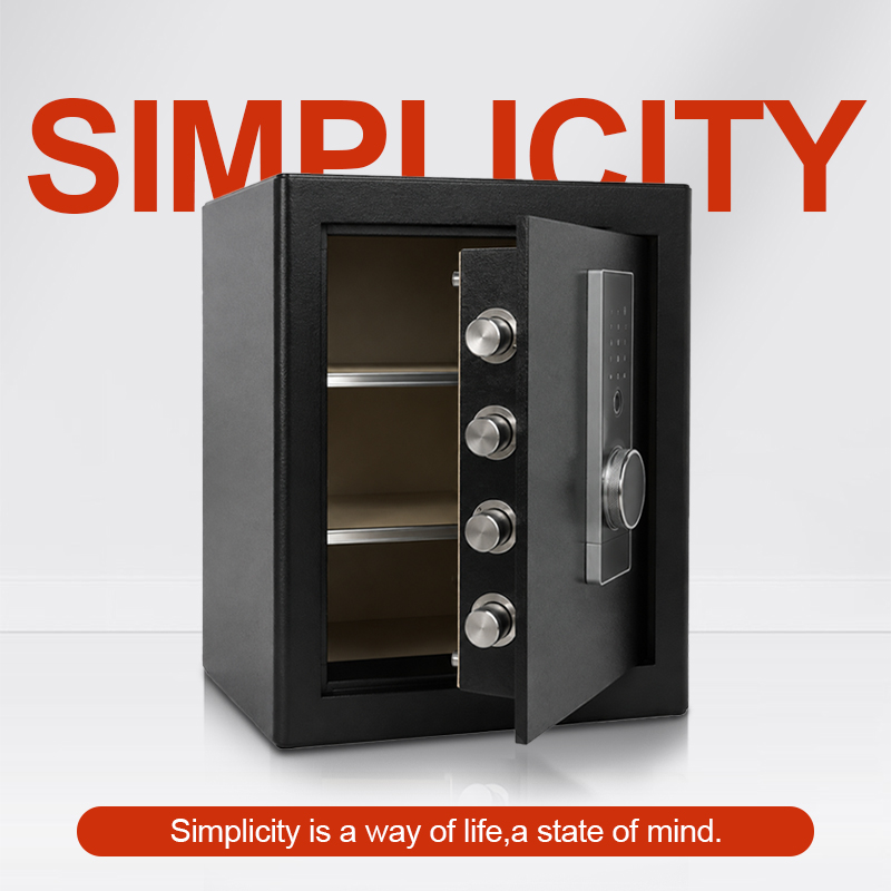 Cassaforte Biometrica con Impr - Home Security Key recensione e prezzo