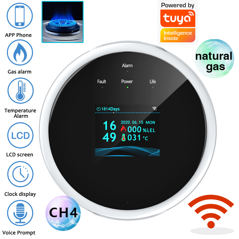 Sensore di Allarme Gas WiFi 2. - Home Security With Monitoring recensione e prezzo