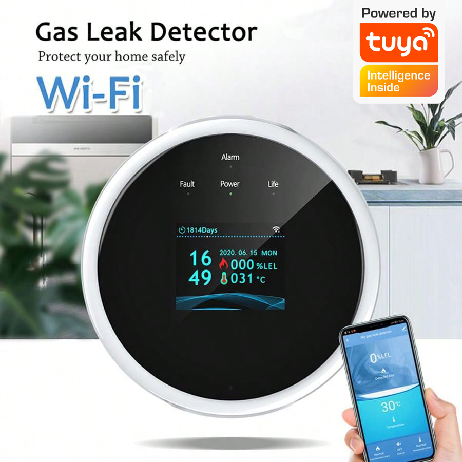 Sensore di Allarme Gas WiFi 2. - Home Security With Monitoring recensione e prezzo